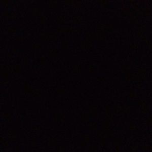 Meet your Posher, Arianna